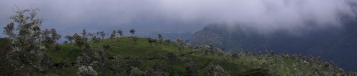Inde