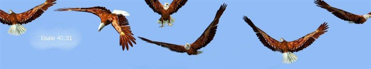 Banniere Aigle Nuage1